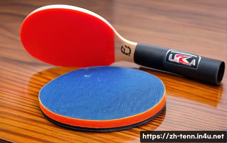 탁구 라켓 관리법 관련 이미지 1